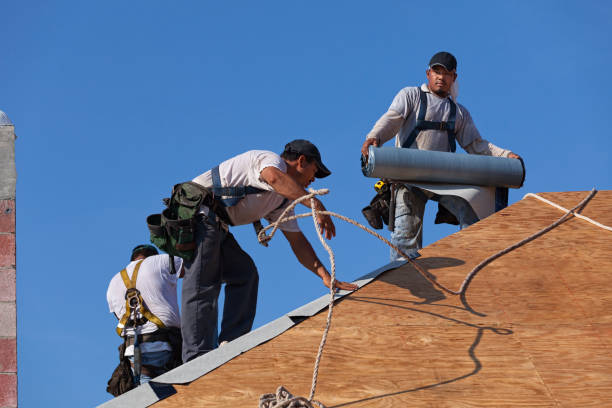 Best Roof Repair Services  in Guerneville, CA