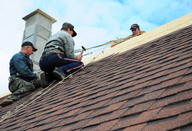 Best Best Roofing Contractors  in Guerneville, CA